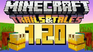 ✅ Minecraft 1.20 REVIEW COMPLETA - Trails and Tales Update [RESUMEN]