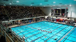 A Virtual Look Inside: Women's Swimming and Diving