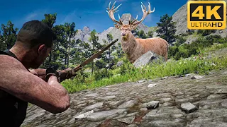 Hunting bulk elk with bow poison and sell it - Red Dead Redemption 2 4K Ultra Graphic