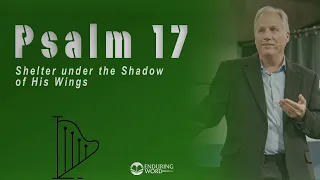 Psalm 17 - Shelter under the Shadow of His Wings