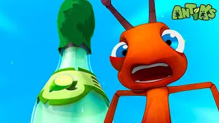 Joey Catches Lightning in a Bottle! 🍾 | 🐛 Antiks & Insectibles 🐜 | Funny Cartoons for Kids