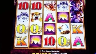 HUGE WIN!!! Buffalo Stampede Slot Machine-MAX BET on 2 Bonuses & A Line Hit at $3.00 Bet