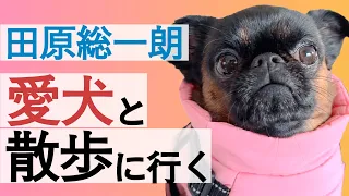 田原総一朗、愛犬の散歩へ。日常に密着【田原総一朗の生態密着シリーズ】