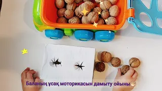 Баланы дамыту ойындары үй жағдайында. Танымдық видео. Монтессори.  1-4 жас