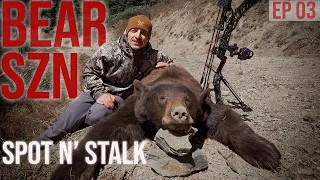 BIG BEAR DOWN SPOT n' STALK ARCHERY STYLE // Bear SZN EPPY 3