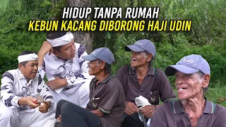 HIDUP TANPA RUMAH | KEBUN KACANG YANG BARU TUMBUH DIBORONG HAJI UDIN