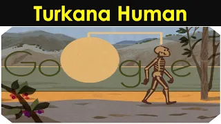 Who was Turkana Human? , Complete Early Human Skeleton Turkana Boy, Turkana Human History.