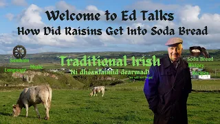 How did Raisins get into Irish Soda Bread.  Here's Why!