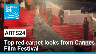 Arts24 in Cannes: Top red carpet looks from this year's Cannes Film Festival • FRANCE 24 English