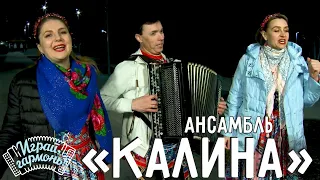 Казачья | @ans-kalina (Самарская область) | Играй, гармонь!