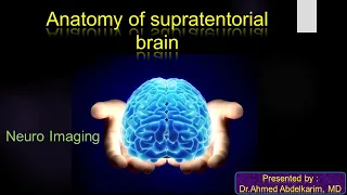 1-Anatomy of the supratentorial brain