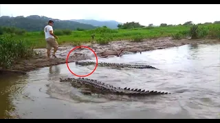 21 SCARIEST Crocodile Encounters So Far in 2021