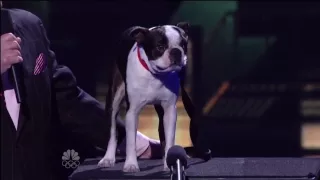 Todd Oliver, Top 48 Live ~ America's Got Talent 2012 Q1.mp4 Talking Dog