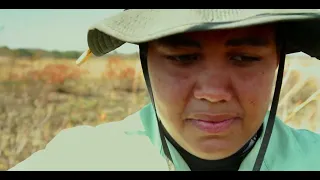 Into The Okavango - Hippo Attack