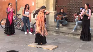 Flamenco dance (5) in Granada 2015