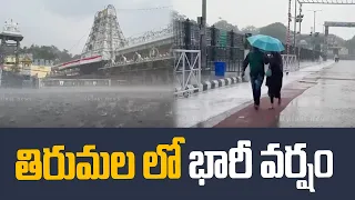 తిరుమల లో భారీ వర్షం | Heavy Rain In Tirumala Sri Venkateswara Swamy Temple