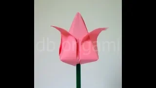how to make Tulip of paper with your own hands  db Origami flower