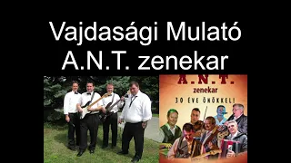 Vajdasági Mulató - A.N.T. zenekar (mulatós válogatás)