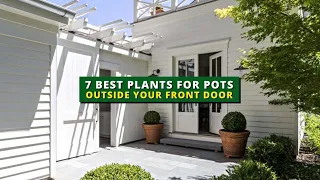 7 Best Plants for Pots Outside Your Front Door | Curb Appeal 💕