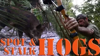 Bow Hunting wild hogs with primitive recurve selfbow