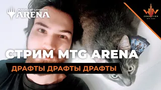 Если зайца долго бить МОЖО НАУЧИТЬ ДРАФТИТЬ mtg arena DRAFT