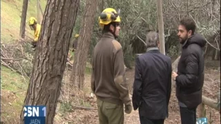 El adelfal del río Cuadros en Bedmar, el mayor de Europa