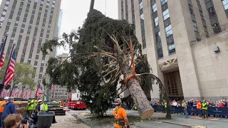 Installation of NYC Rockefeller Center Christmas Tree