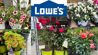 LOWE’S | How To Make Your Garden Beautiful? | What Flowers To Buy At Lowe’s?