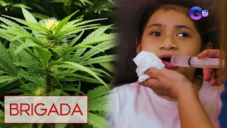 Medical marijuana, posible nga bang maging legal sa Pilipinas? | Brigada