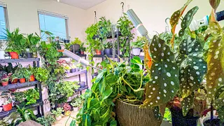 200+ Houseplant Apartment Tour 2021 | Plant Collection