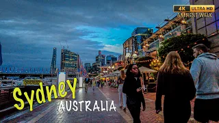 Relaxing Darling Harbour area in Sydney - Evening 4K Ambient Walk