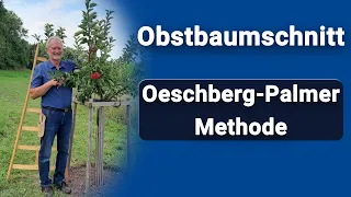 Obstbaumschnitt nach der Oeschberg-Palmer Methode [Anleitung]