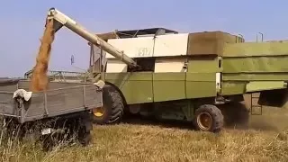 ♘㋡★Комбайн Fortschritt E517 выгрузка зерна / combine harvester Fortschritt E517