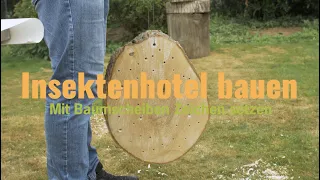 Insektenhotel aus Baumscheibe DIY