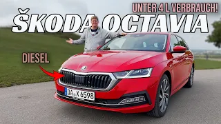 2023 Skoda Octavia Combi: Einfach immer noch sehr gut! - Review, Fahrbericht, Test