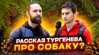 вопрос поставил студента в тупик  / НЕГОДЯЙ TV