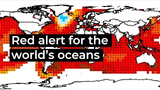 Red Alert For The World's Oceans