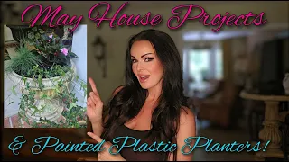 May House Projects & Painted Plastic Planters!