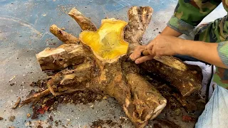 Use Tree Roots To Make The Craziest Table