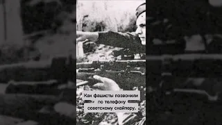 Как фашисты позвонили по телефону советскому снайперу. Что он им ответил? #истории #война #история