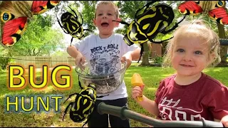 BUG HUNT for REAL Bugs! COCOON, Beetles, Roly Polys, EARWIGS, Spiders, Moth, WORMS & MORE for KIDS!!