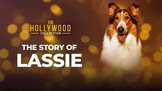 The Story Of Lassie | The Hollywood Collection