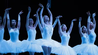 Swan Lake: Cardinal Ballet Company 2023 (Evening)