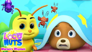 Bugs Bugs Bugs Song | Creepy Crawly Bugs | Nursery Rhymes and Baby Songs with Loco Nuts