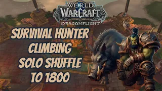 Survival Hunter Solo Shuffle climbing to 1800 Dragonflight 10.2.5 World of Warcraft