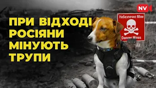 Україну перетворили на полігон для світового воєнпрому. Розміновуватимуть не одне покоління