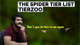 The Spider Tier List (TierZoo) CG Reaction