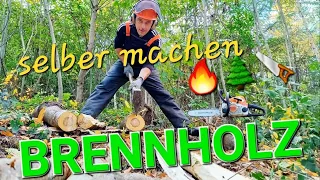 🔥 Brennholz selber machen oder für 200 € Ofenfertig kaufen? 🌳 Fällen Sägen Spalten🪚🪓 Stihl MS180