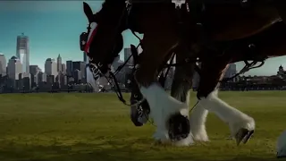 9/11 Budweiser Commercial