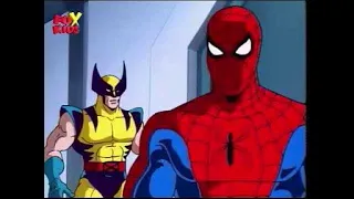 Spider-Man Tas : Wolverine :O